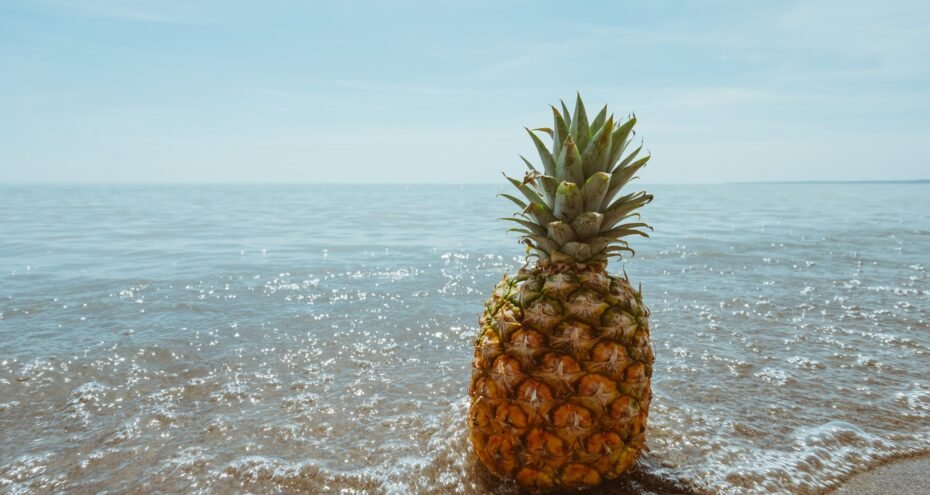 sea sea