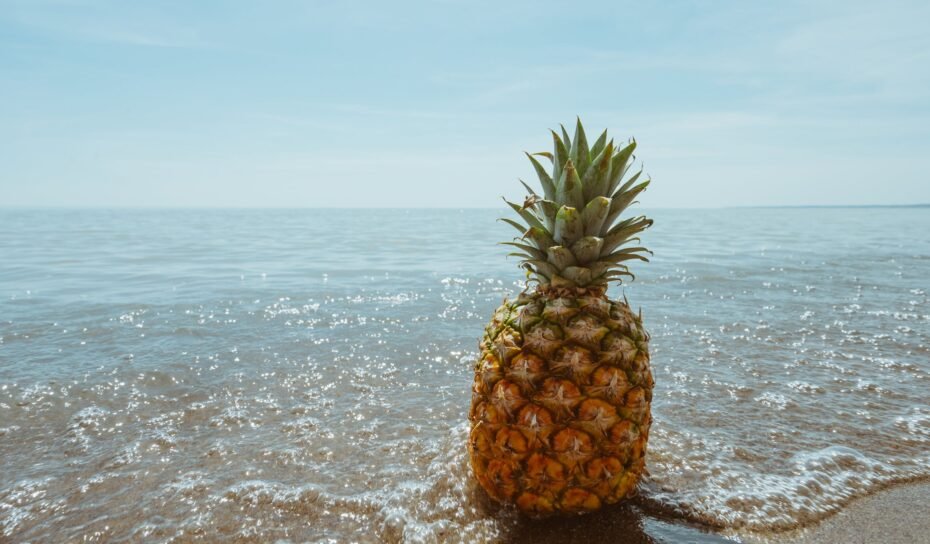 sea